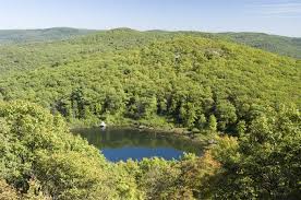 What God does with tiny seeds of faith