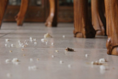 Even the dogs eat the crumbs that fall from the Master's table