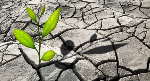 God's Persistent Love