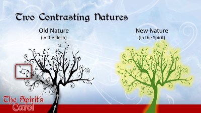 Two Contrasting Natures