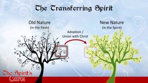 The Transferring Spirit