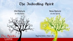 The Indwelling Spirit