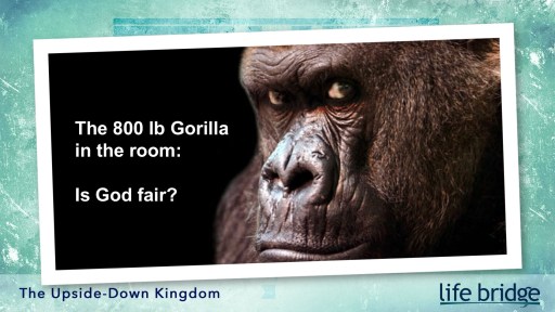 The 800lb Gorilla slide